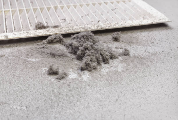 Best Commercial HVAC Duct Cleaning  in Lockhart, TX