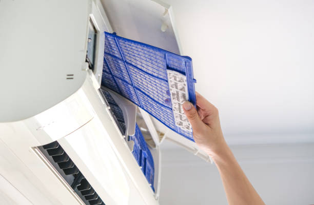 Best Air Vent Cleaning Services  in Lockhart, TX